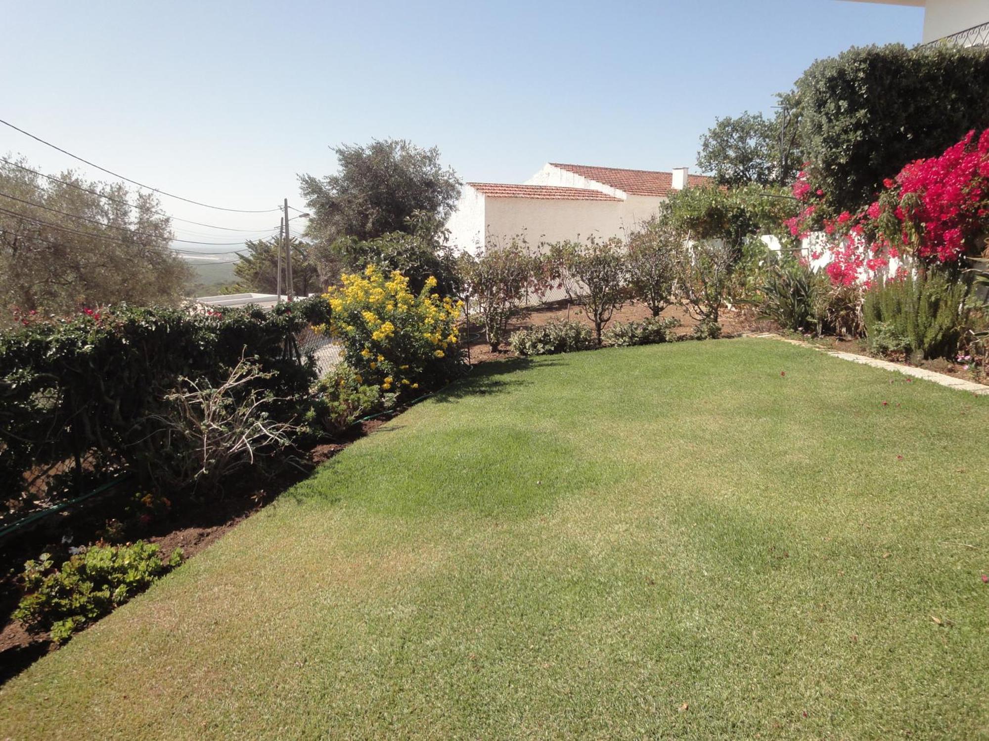 Orchidea Terrace