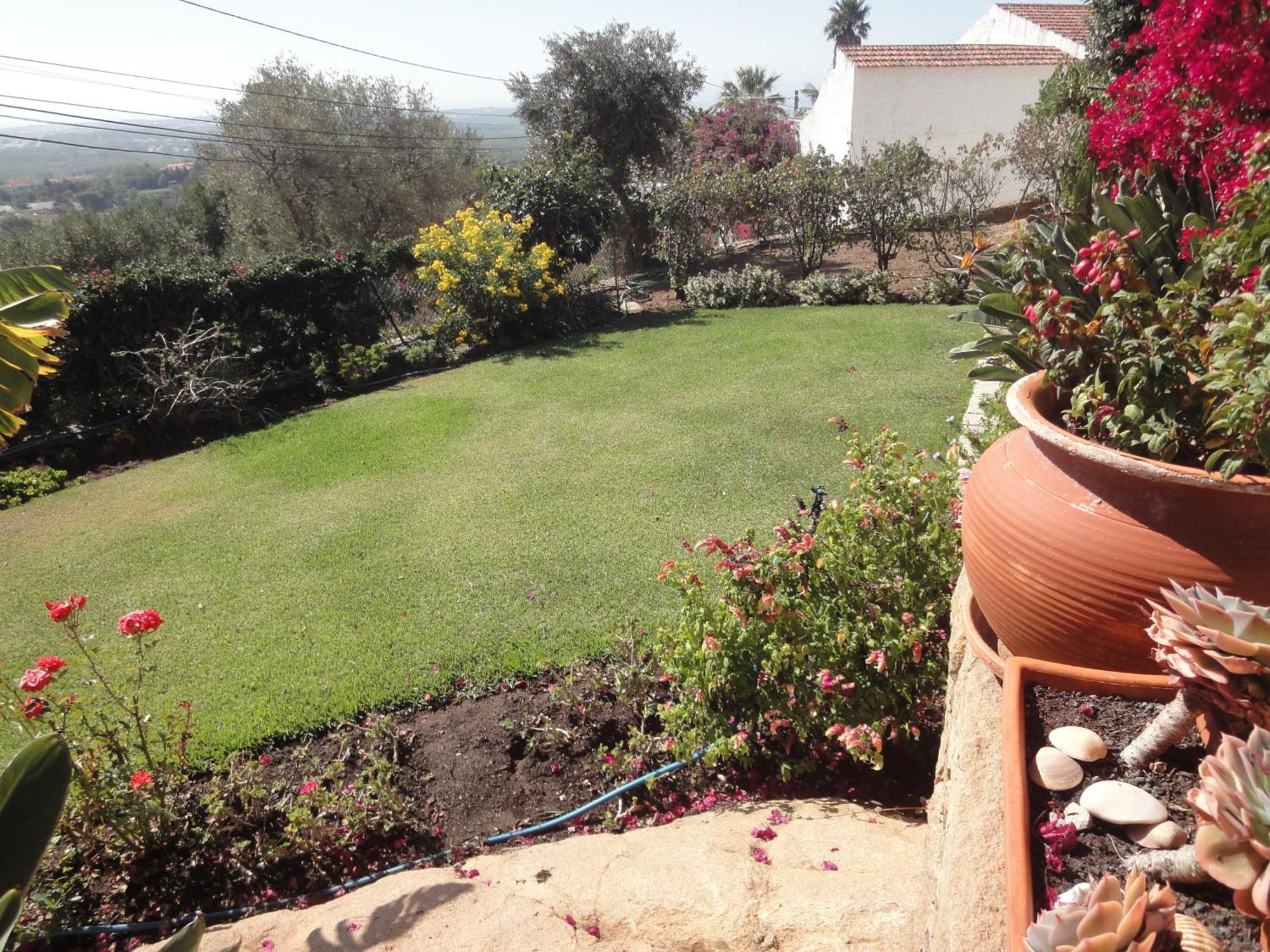 Orchidea Terrace Holiday home *