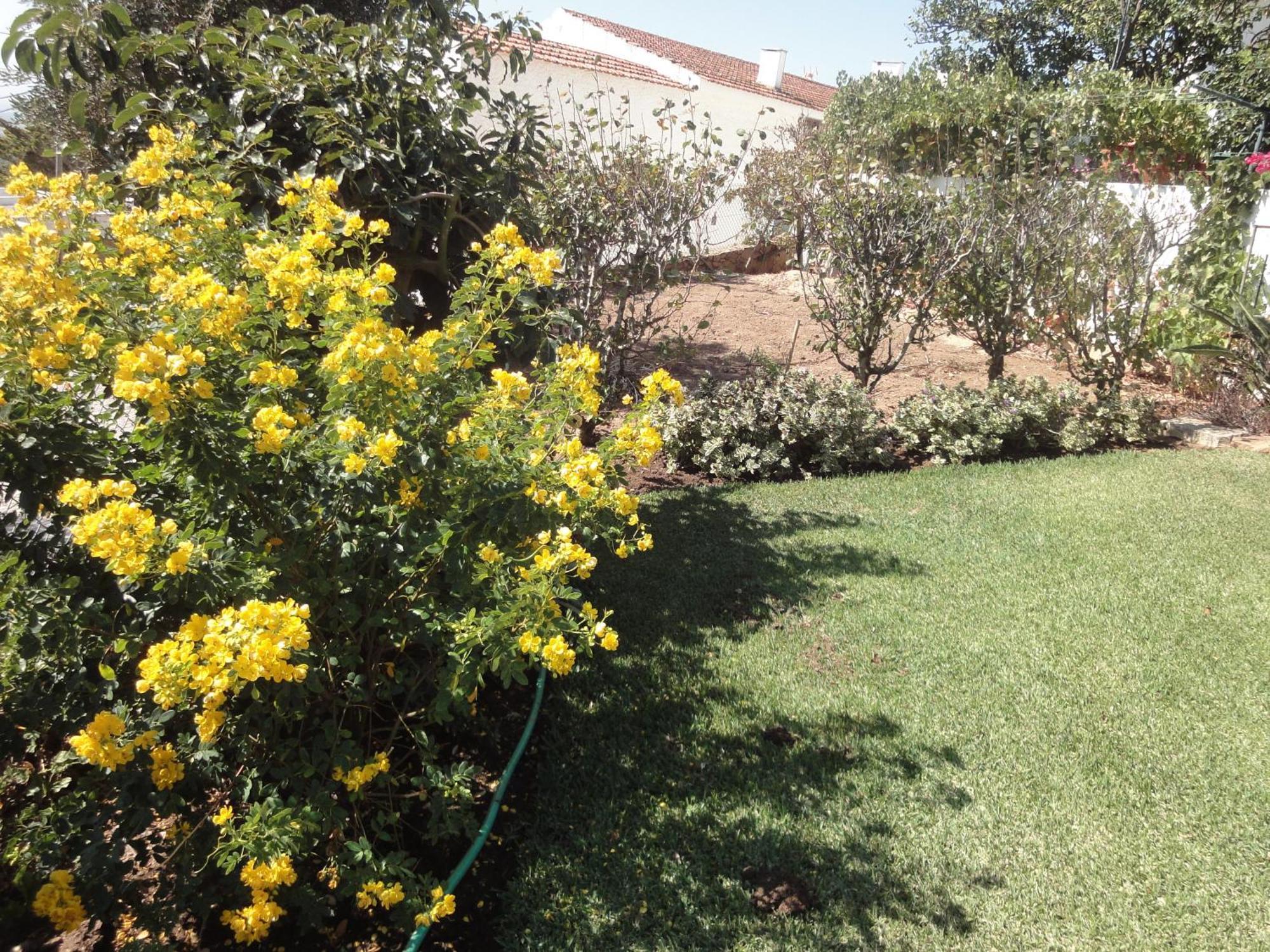 Holiday home Orchidea Terrace *