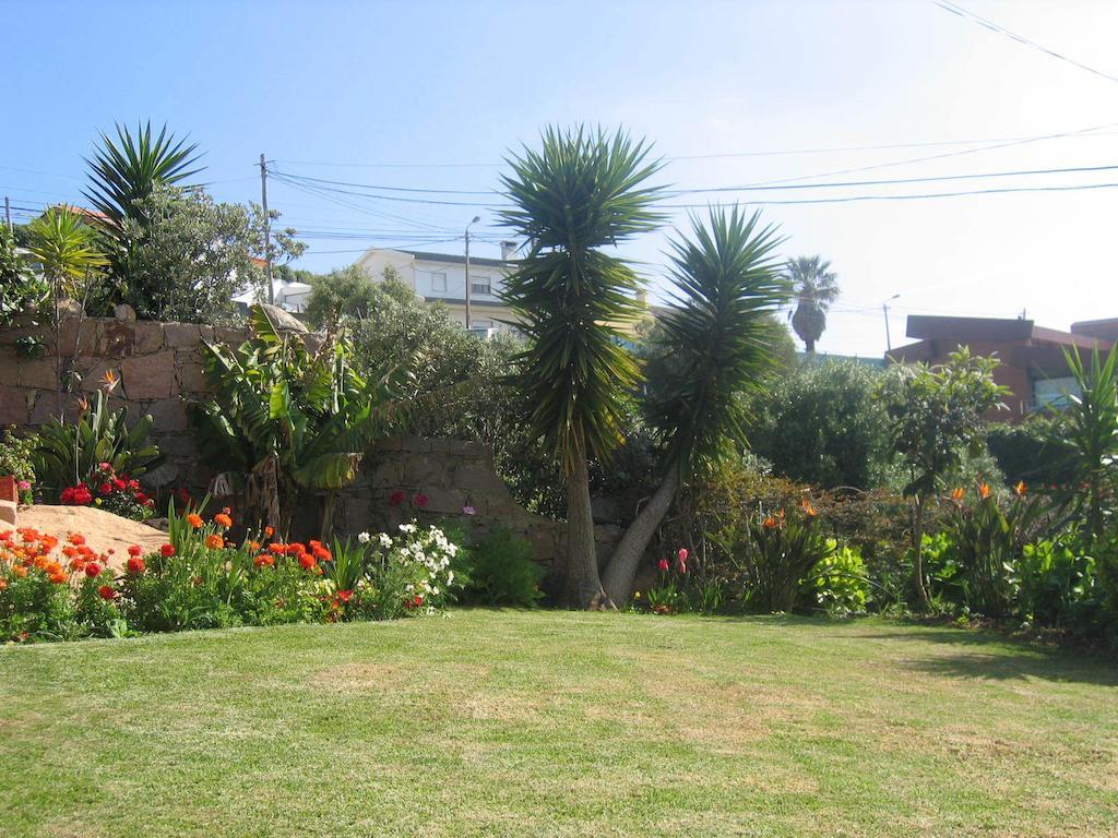 Holiday home Orchidea Terrace