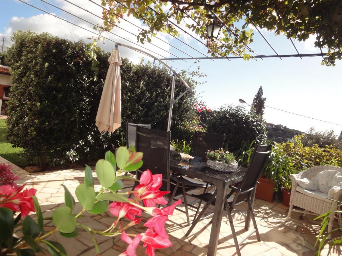 Orchidea Terrace