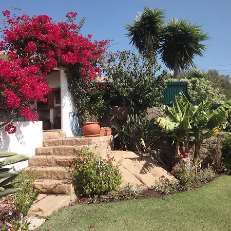 Orchidea Terrace Villa Malveira da Serra Kamer foto