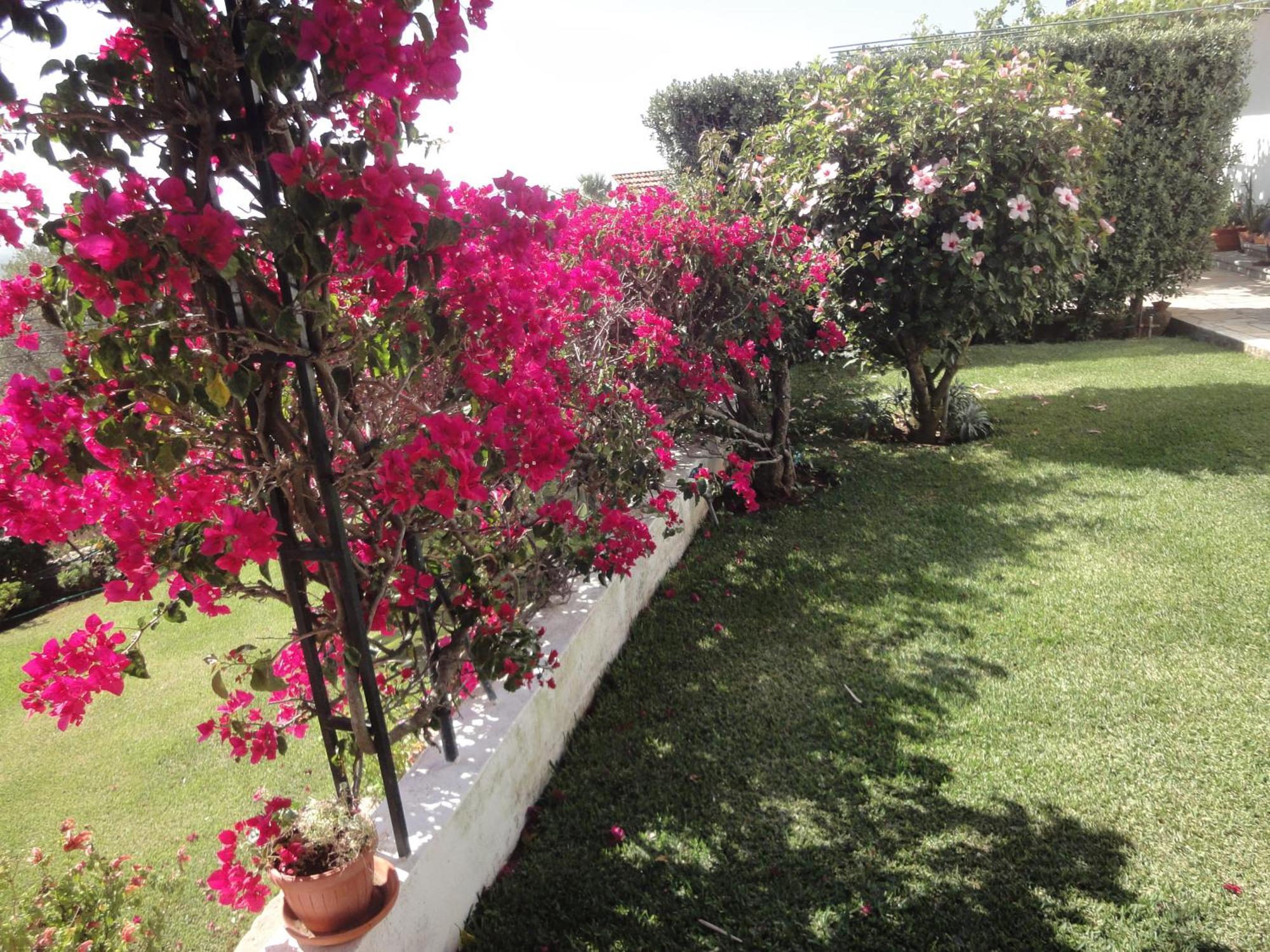 Orchidea Terrace Ferienhaus *